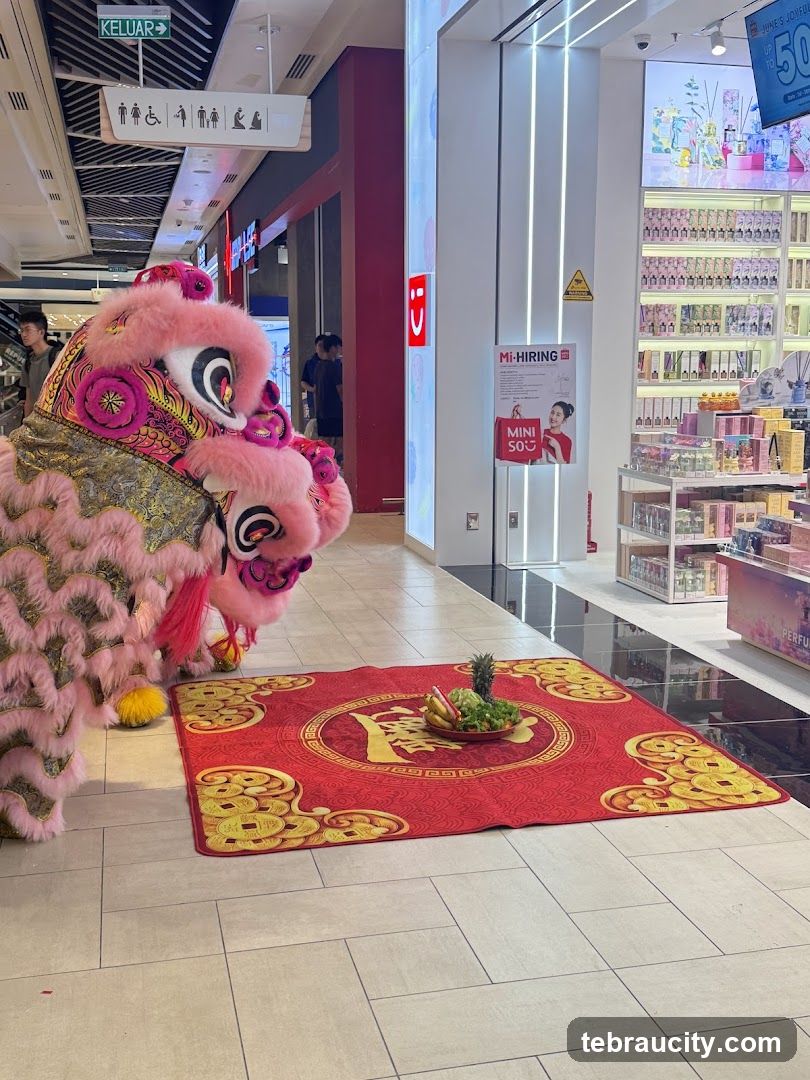 Lion Dance Performance