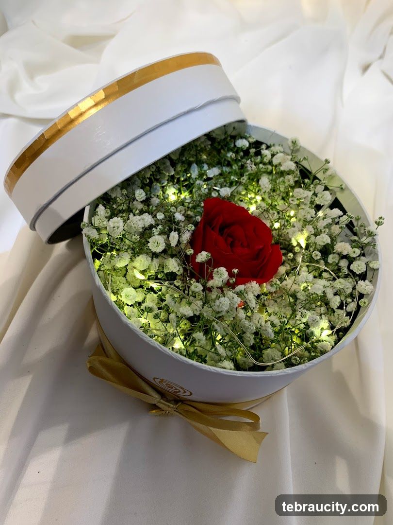 Round Flower Box with Red Rose and Baby's Breath