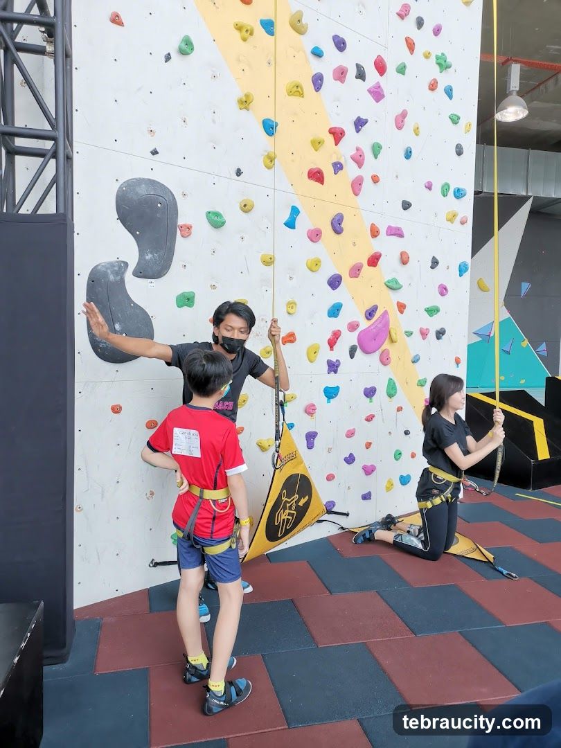 Climbing Wall Instruction