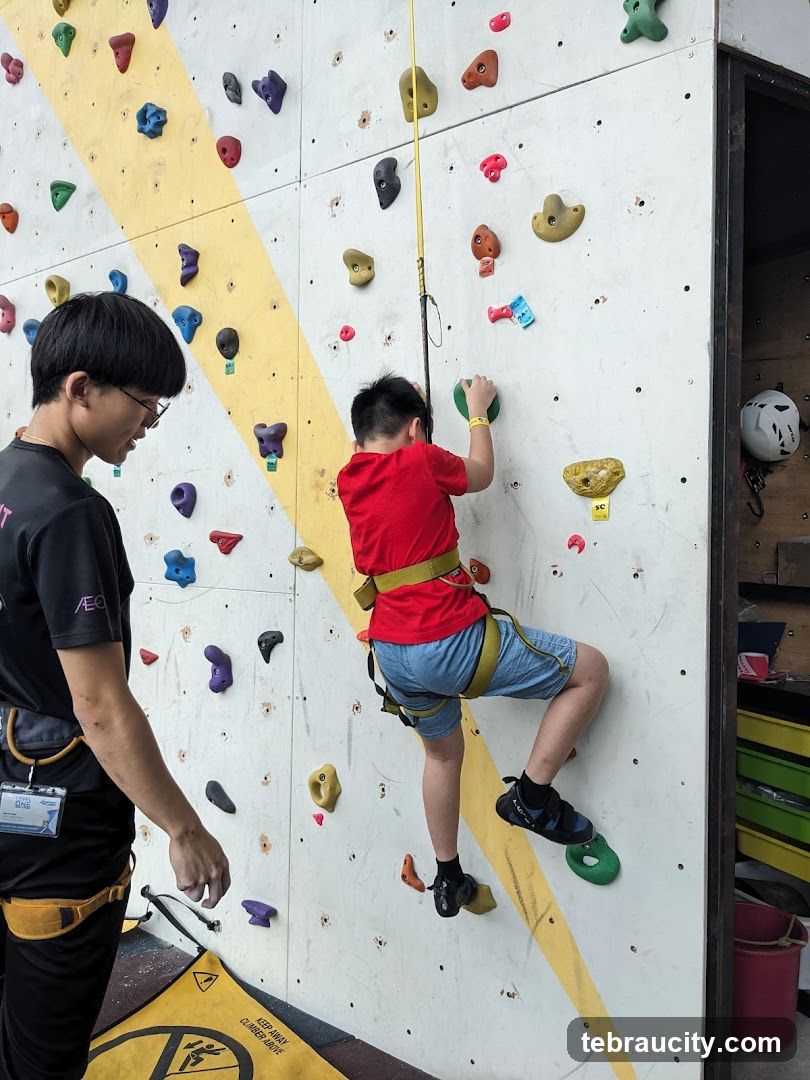 Climbing Wall Activity