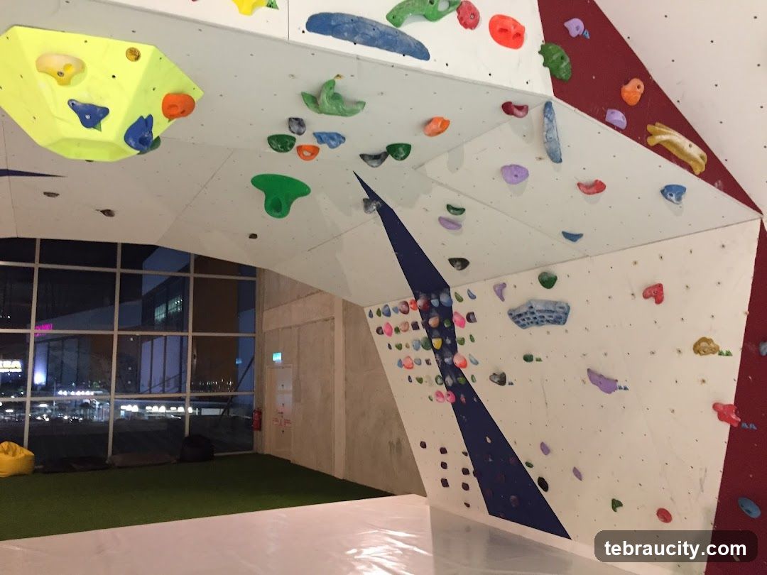 Indoor Climbing Wall