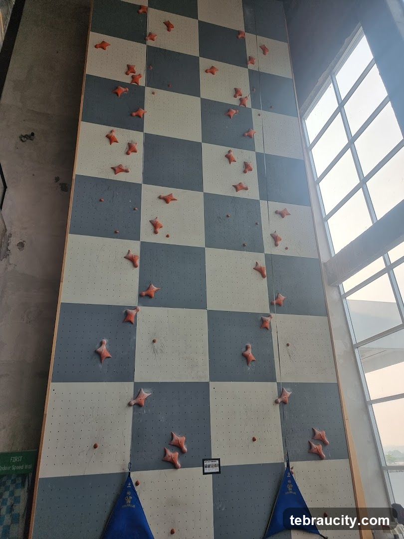 Indoor Climbing Wall