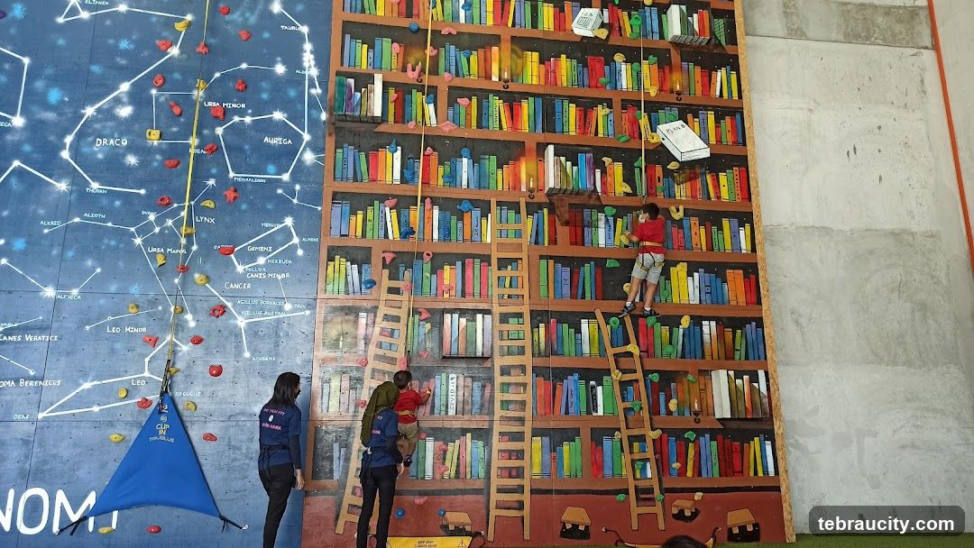 Climbing Wall with Constellation and Bookshelf Murals