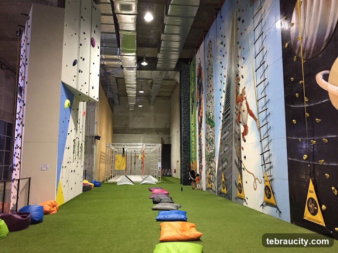 Indoor Climbing Gym