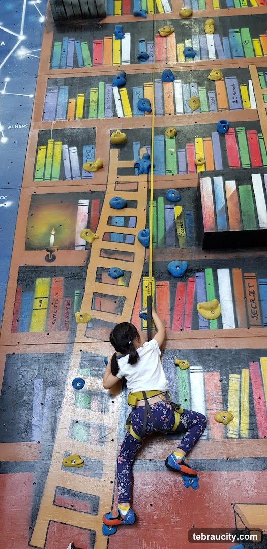 Child climbing a bookshelf-themed wall