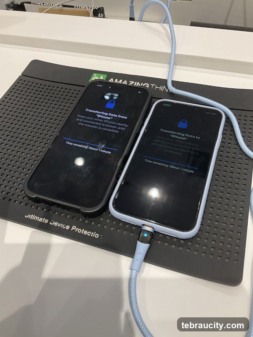 iPhone Data Transfer