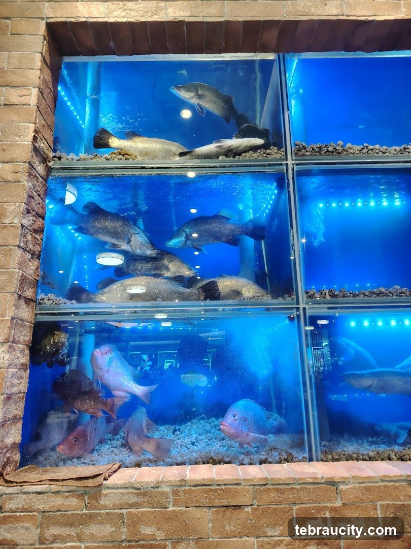 Live Fish Tanks