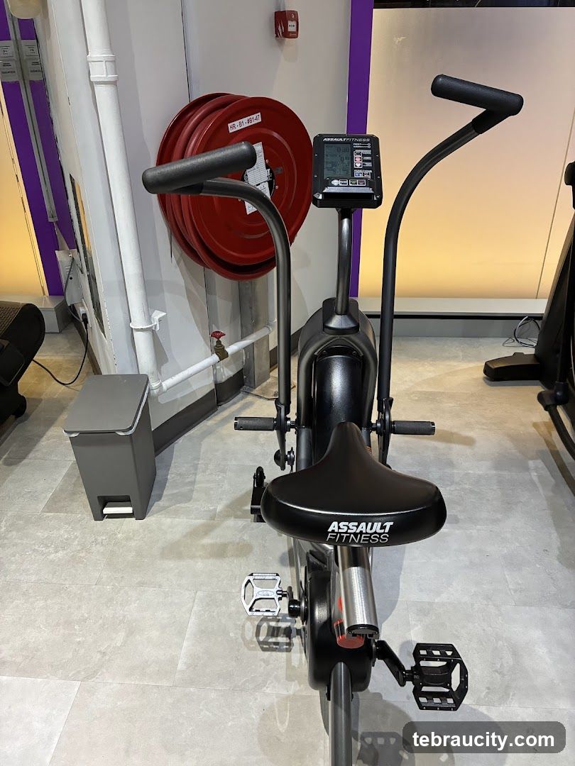 Assault Fitness Air Bike