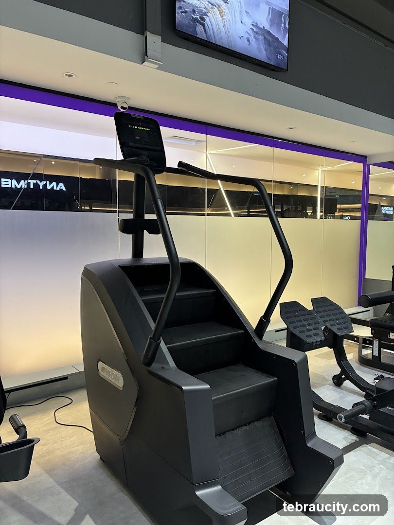 Gym Stair Climber