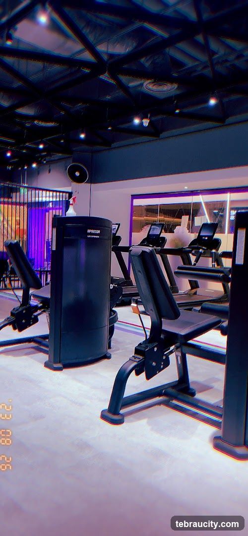 Gym Equipment