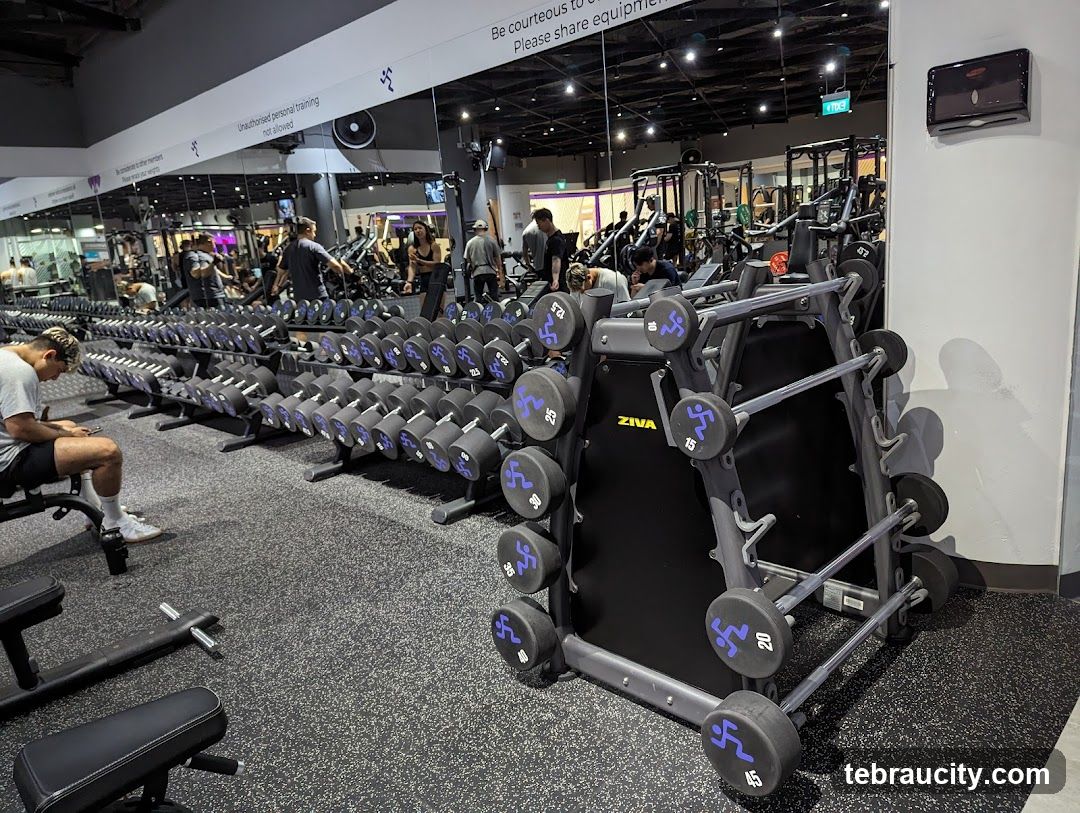 Gym Interior with Dumbbells and Barbell Rack