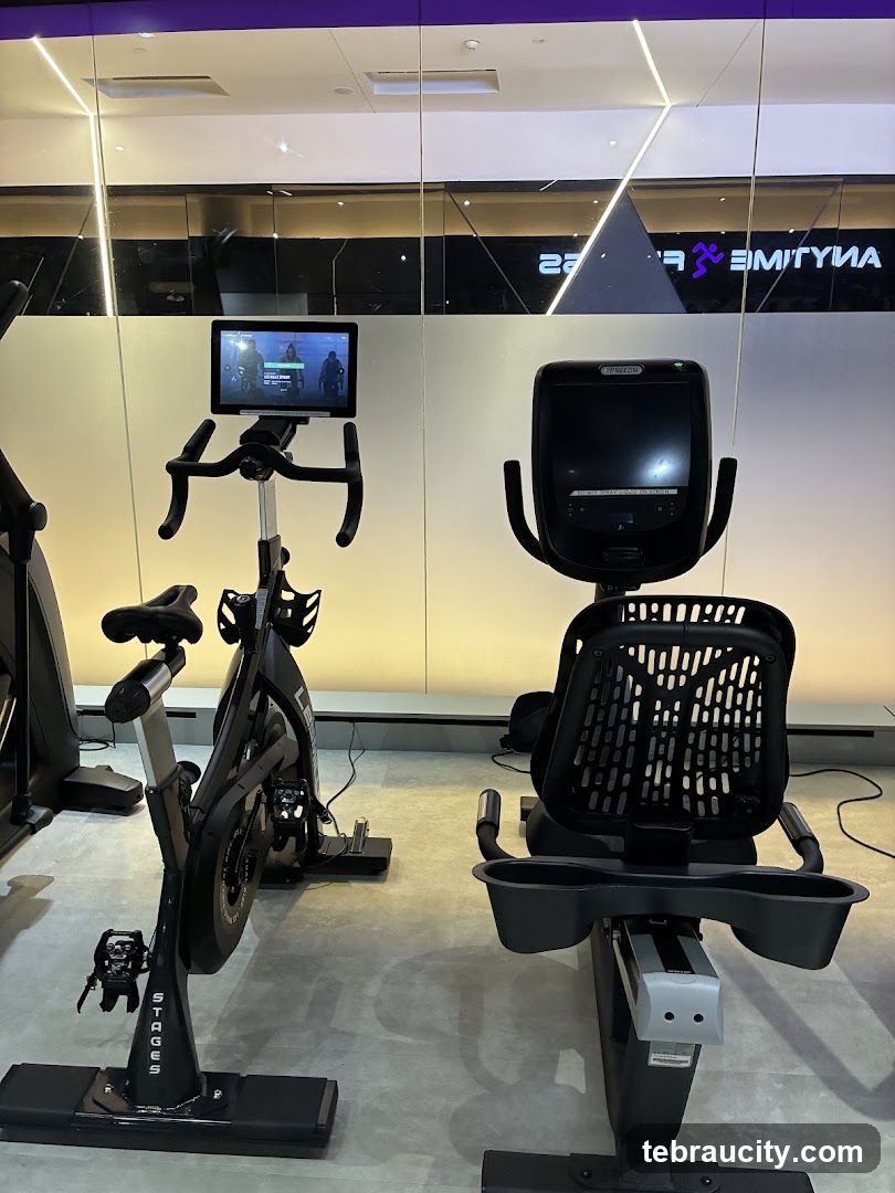Gym Equipment