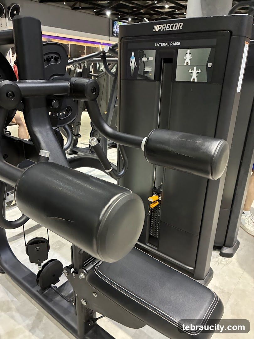 Precor Lateral Raise Machine