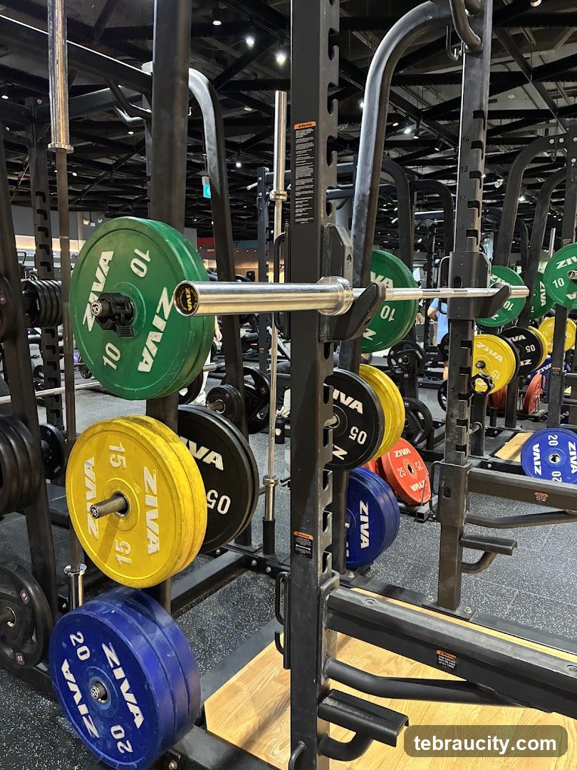 Gym Weight Plates