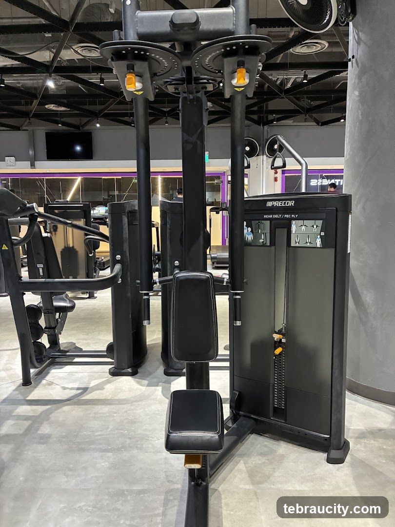 Gym Equipment