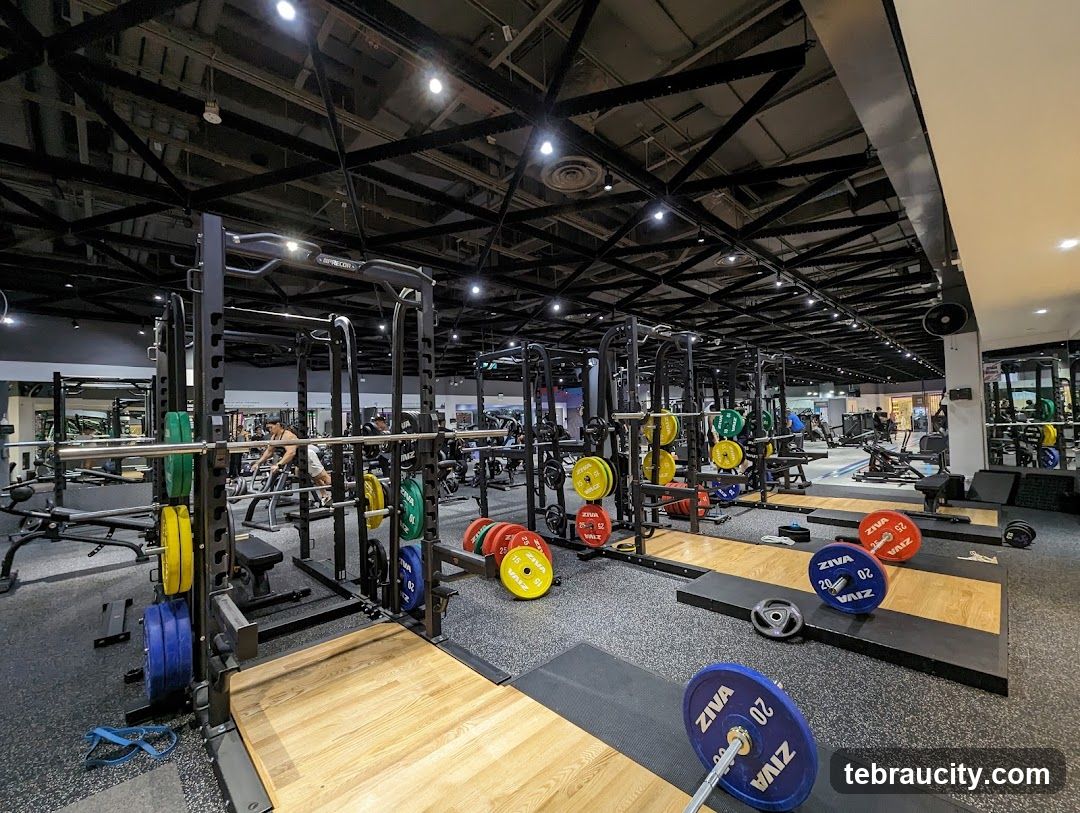 Gym Interior with Weightlifting Equipment