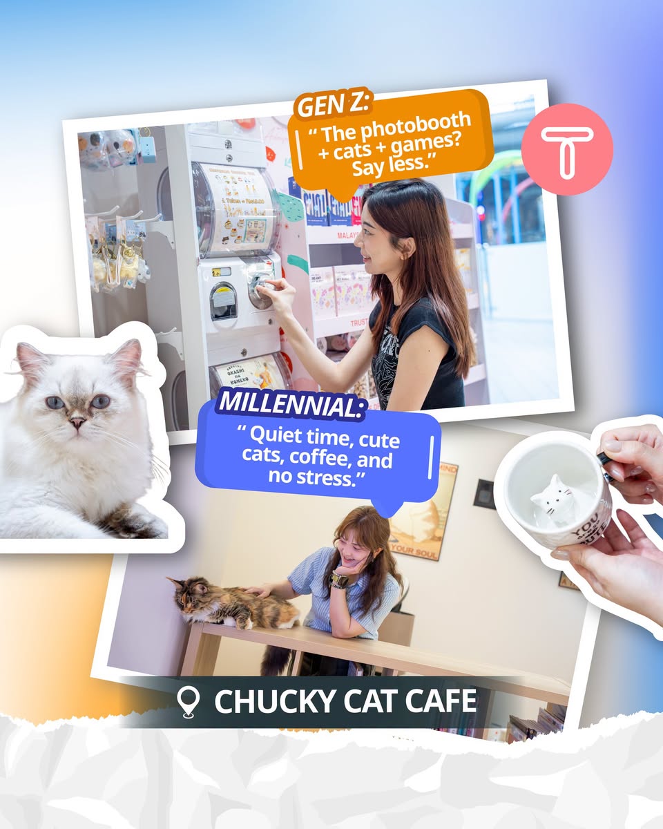 Chucky Cat Cafe with cats and cat-shaped mug