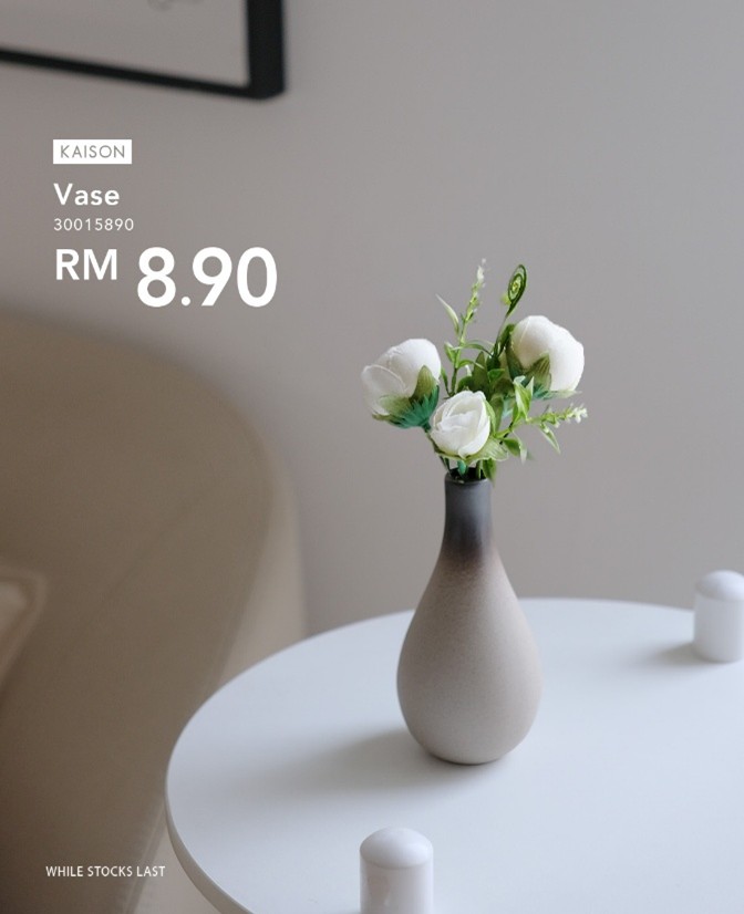 An elegant Kaison vase serving as a beautiful centerpiece on a modern coffee table.