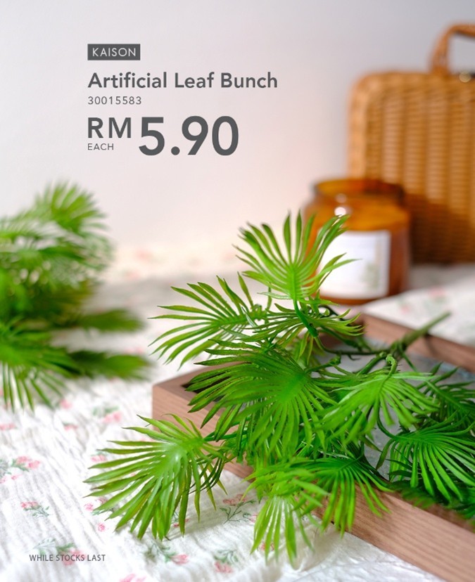 A curated collection of Kaison's diverse and stylish vases, perfect for any interior.