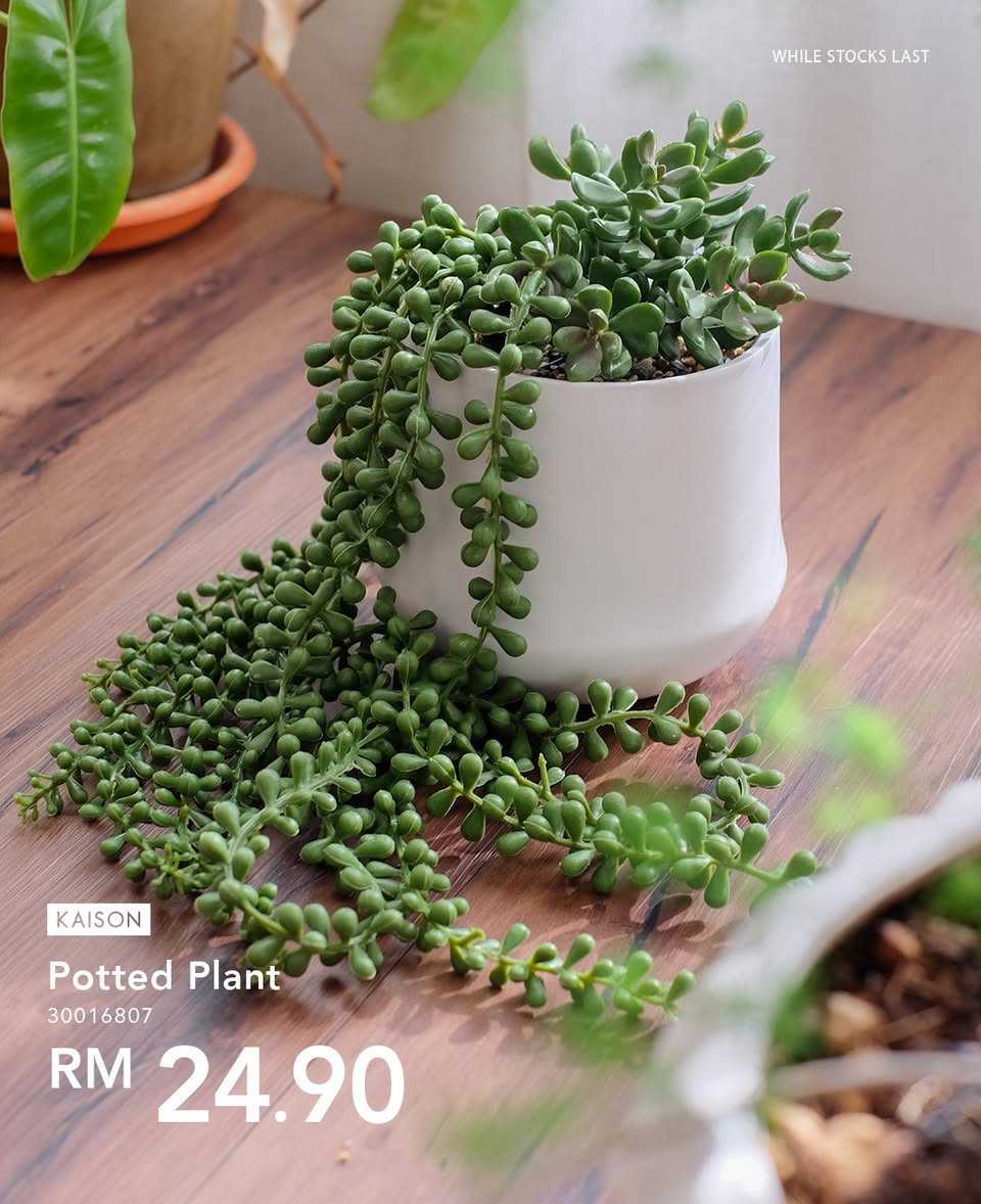 Artificial plants from Kaison adorning a cozy reading nook, creating a serene ambiance.