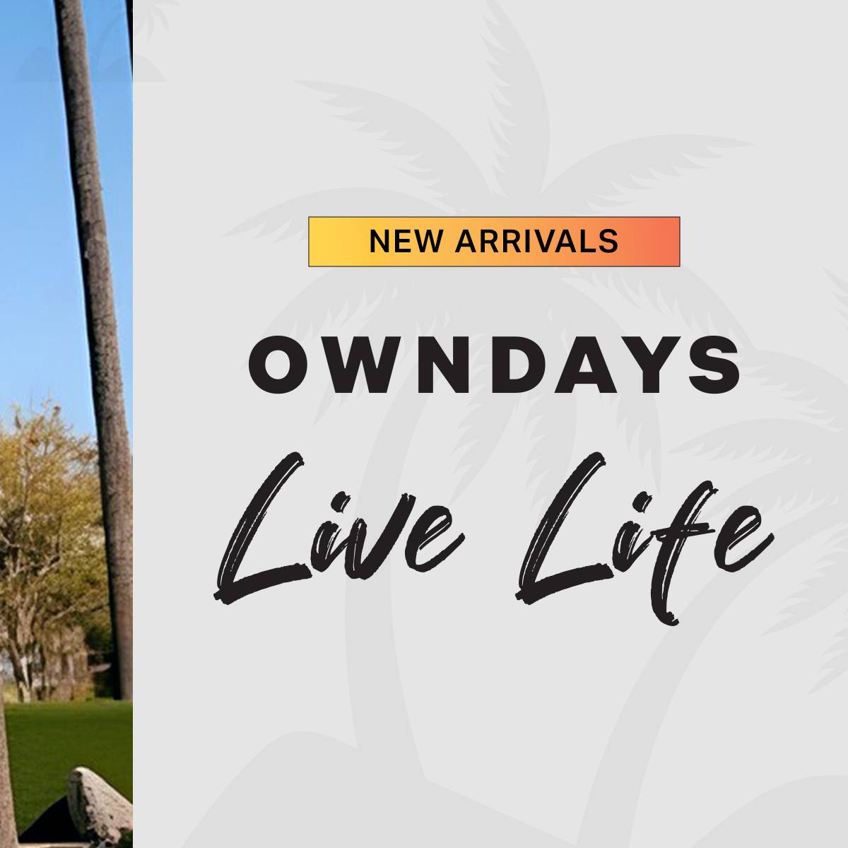 New OWNDAYS LIVE LIFE eyewear collection