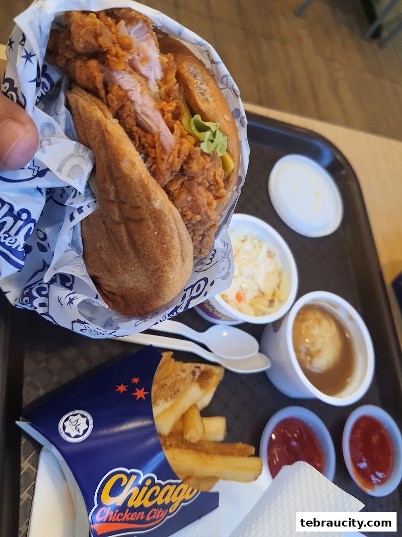 A close-up of a delicious fried chicken burger meal with fries, coleslaw, and mashed potatoes.