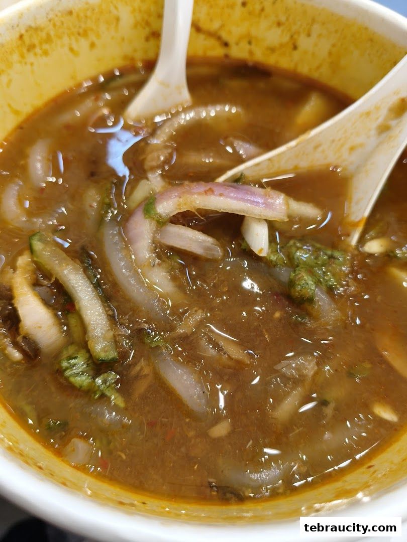 A close-up shot of a delicious bowl of Laksa with noodles, herbs, and onions.