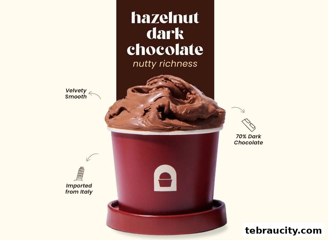 A cup of hazelnut dark chocolate gelato with descriptive text.