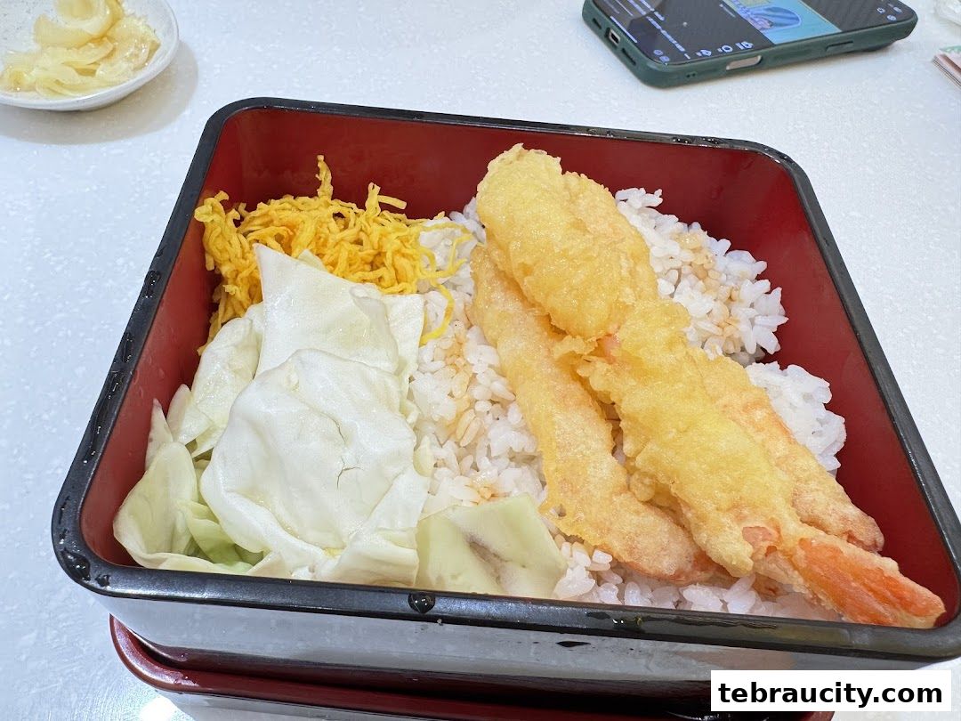 A bento box filled with rice, tempura shrimp, shredded egg, and cabbage.