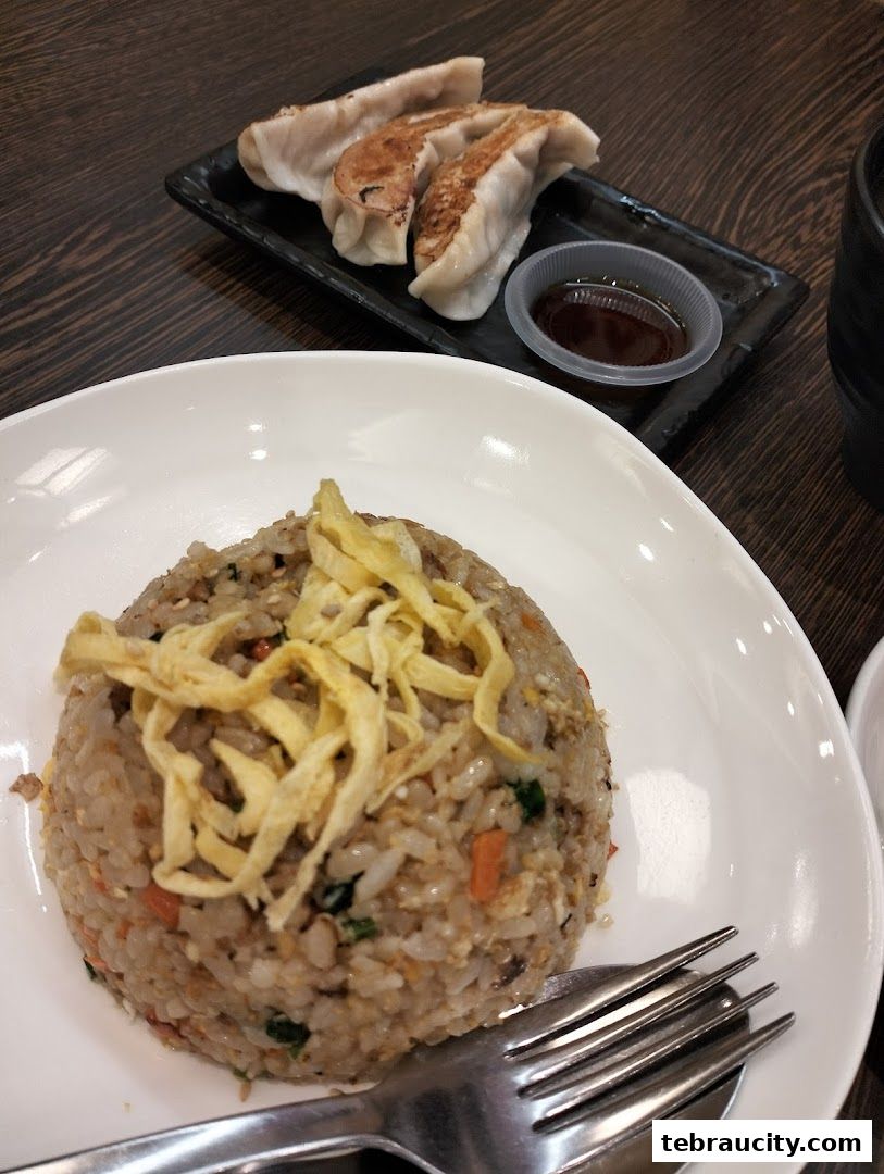 A plate of fried rice topped with shredded egg and a side of pan-fried gyoza with dipping sauce.