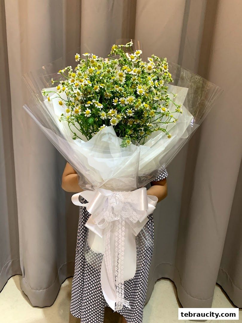 A person holds a large bouquet of white daisies wrapped in clear and white paper with a large white bow.