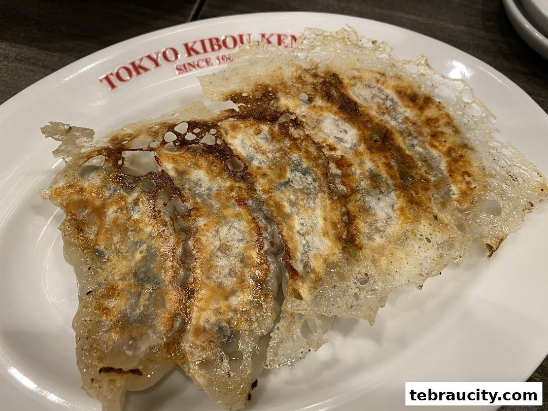 A plate of crispy pan-fried gyoza from Kibou-ken restaurant.