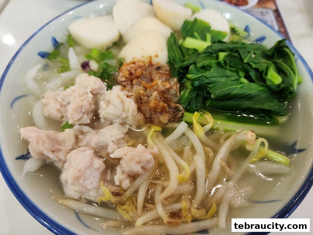 A close-up shot of a delicious bowl of noodle soup with minced meat, vegetables, and bean sprouts.
