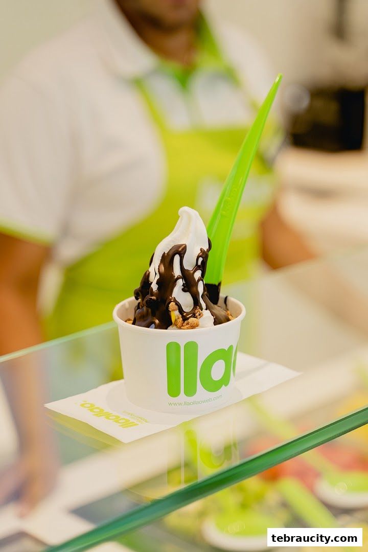 A delicious frozen yogurt cup with chocolate sauce and toppings from Llaollao.