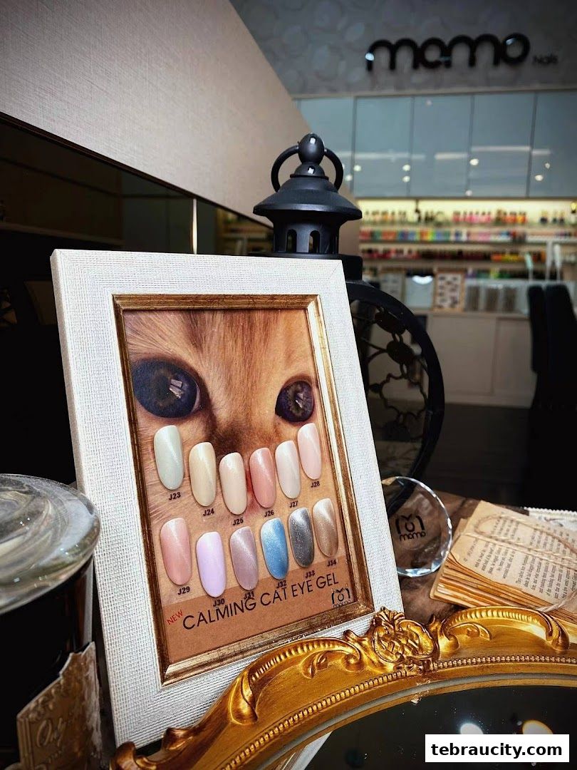 A framed display of 'Calming Cat Eye Gel' nail polish colors at Momo Nails.