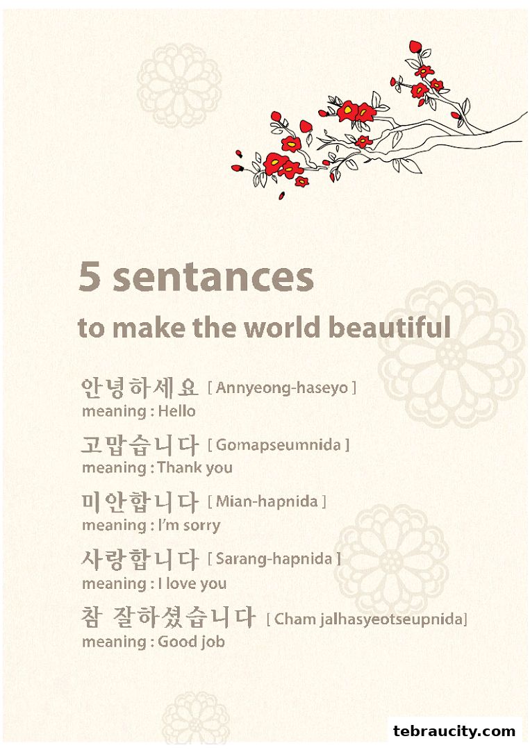 A graphic displaying five Korean sentences with their English meanings and pronunciations.
