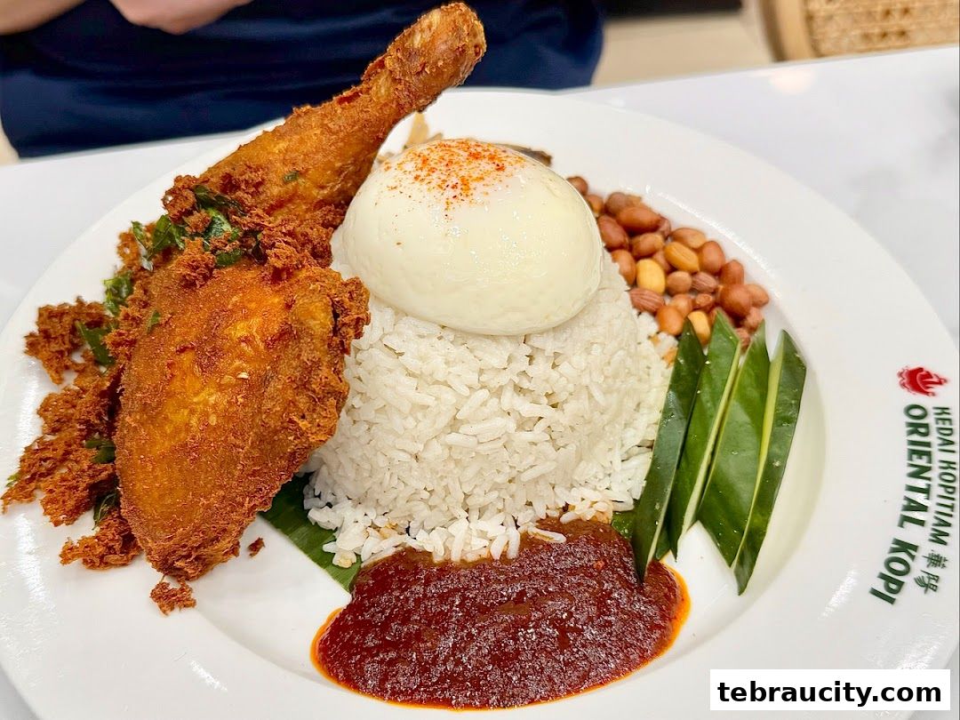 A plate of Nasi Lemak with fried chicken, rice, egg, peanuts, cucumber, and sambal.