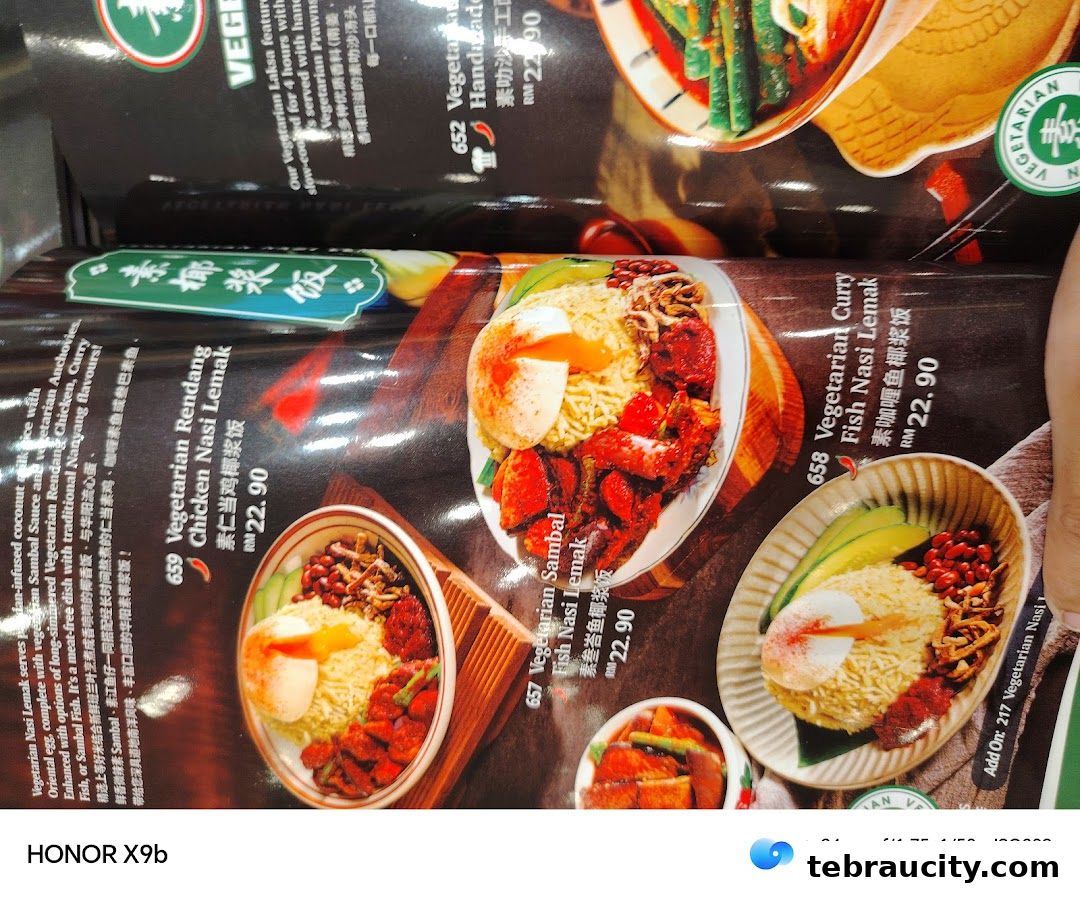 A close-up of a menu featuring various vegetarian Nasi Lemak dishes.