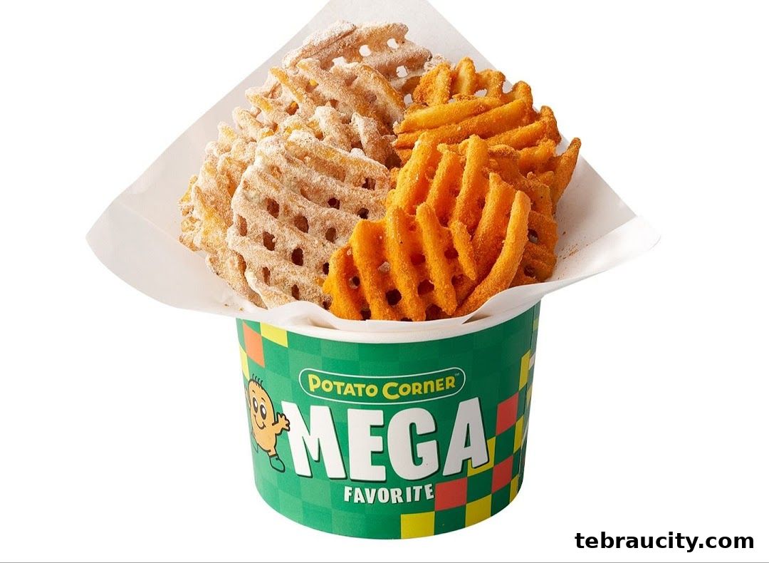 A bucket of Potato Corner's Mega Favorite waffle fries, featuring two flavors.