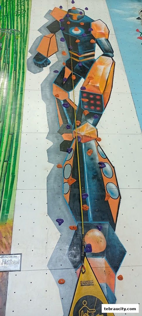 A colorful climbing wall with a robot design and bamboo graphics.