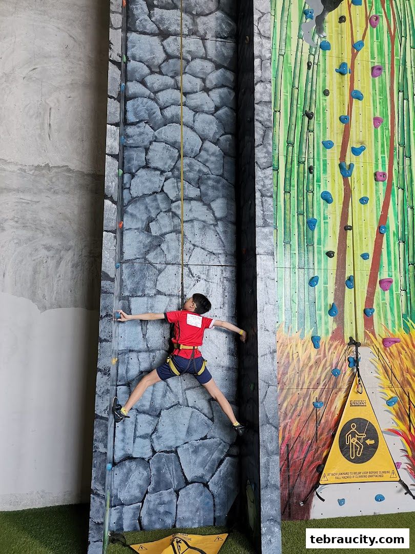 A young climber scales a rock wall with colorful holds and a bamboo-themed backdrop.