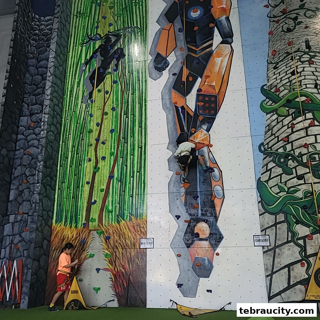 Children climbing on a colorful indoor rock climbing wall with themed murals.
