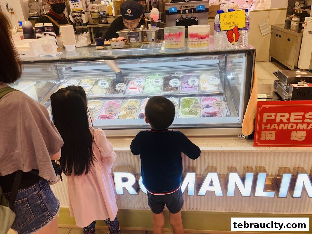 Children and adults look at a display of colorful ice cream flavors at Romanlin.