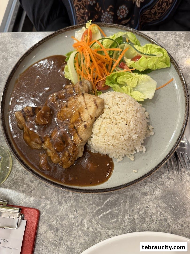A plate of grilled chicken with rice, salad, and brown sauce.
