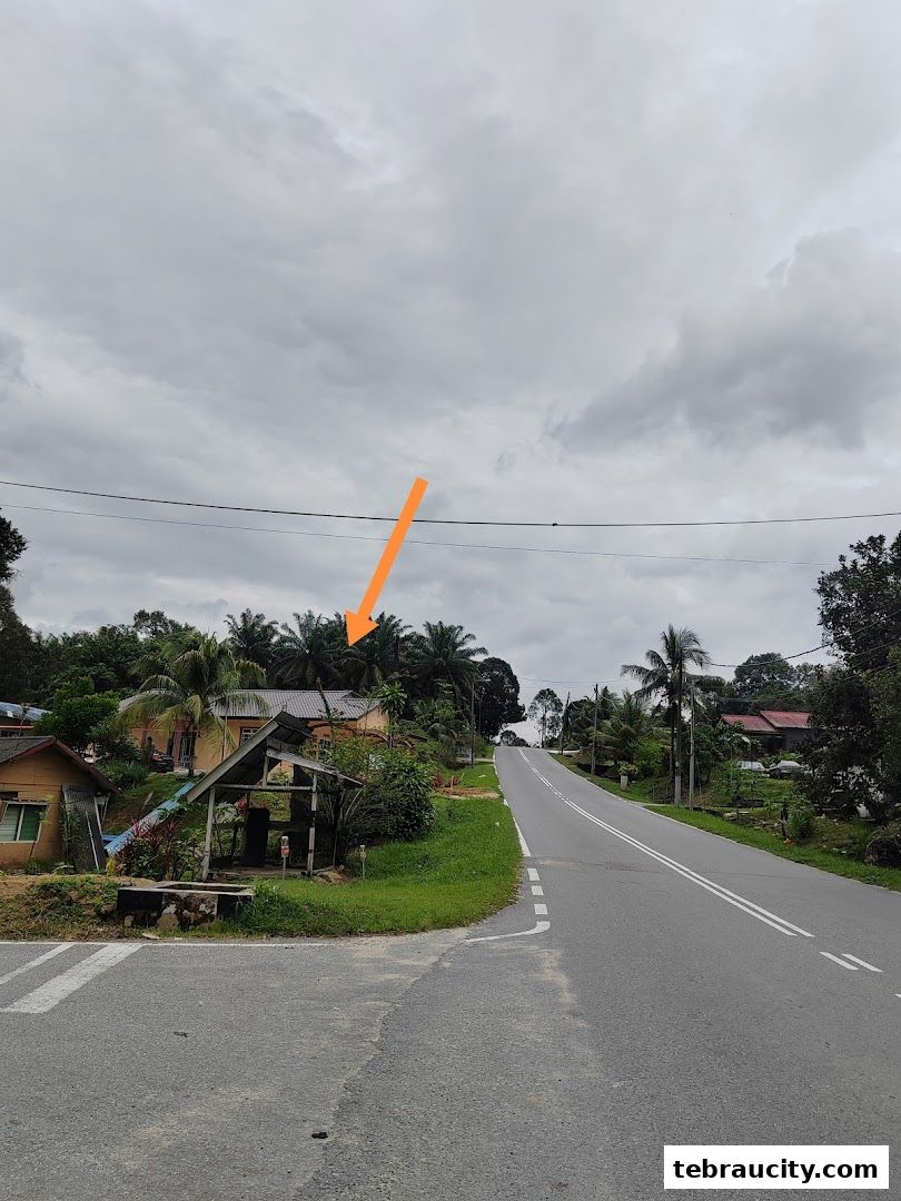 A rural road curves uphill past houses and palm trees under a cloudy sky.