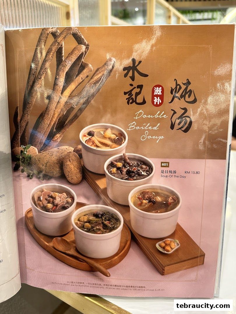 A menu page showcasing various bowls of double-boiled soup with ingredients.