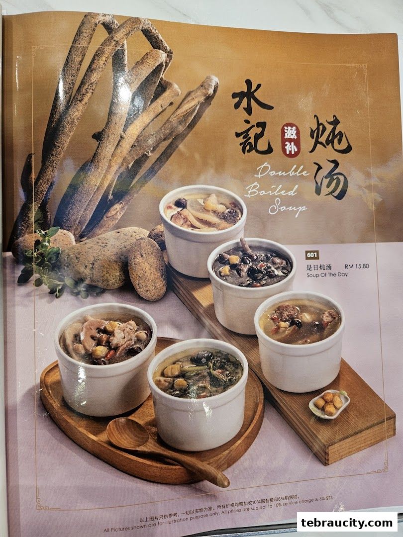 A menu page showcasing various bowls of double boiled soup with ingredients.