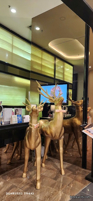Toyako Salon